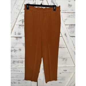 Eileen Fisher Casis Straight Pants Womens M Burnt Orange Elastic Waist